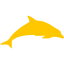 dolphin-mammal-animal-silhouette icon